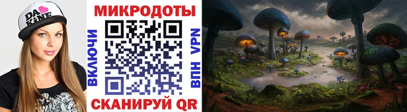 купить   Кувандык  Галлюциногенные грибы Cubensis 